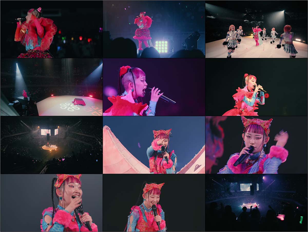 水曜日のカンパネラ-日本武道館単独公演METEOR SHOWER蓝光原盘第1张-乐想听 图片