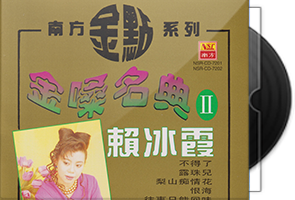 赖冰霞《金嗓名典II》2CD南方金点系列
