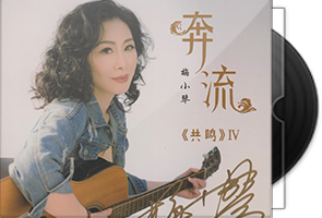 梅小琴《奔流》HQⅡ头版限量编号第1张