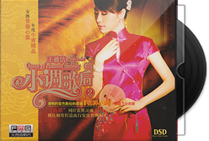 王雅洁《小调歌后2》系列专辑第1张