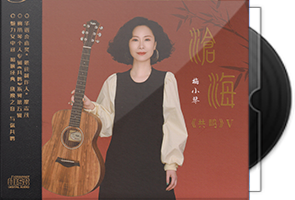 梅小琴《沧海HQⅡ》头版限量编号