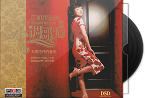 王雅洁《小调歌后》系列专辑第1张