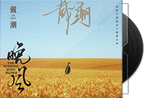 戴潮《晚风HQII》头版限量编号第1张