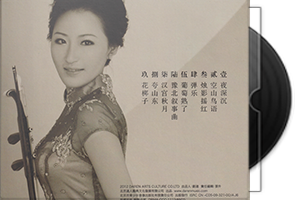 王一婧《胡琴随想》BSCD第1张