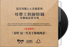 雷婷《这一生关于你的风景》限量1∶1母盘直刻第1张