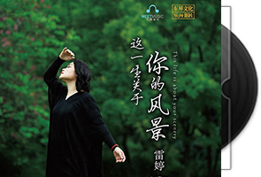 雷婷《这一生关于你的风景》专辑第1张