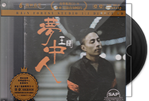 王闻《梦中人》限量1：1黄金母盘直刻第1张