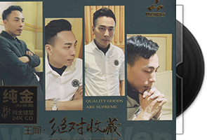 王闻-绝对收藏-24K金碟限量头版