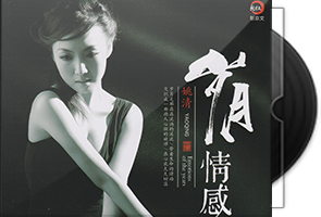 姚清《岁月情感》新京文第1张