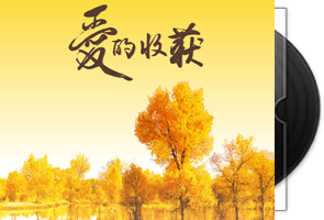 林宝《爱的收获》援疆好声音第六辑第1张