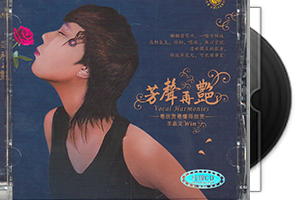 王嘉文《芳声再艳1》纯银CD第1张