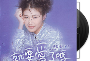 苏慧伦30张专辑34CD合集/百度盘第1张