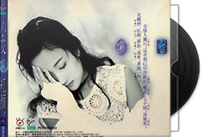 芝麻龙眼组合(陈艾玲·林育如)+王默君14张20CD合集第1张