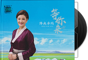 降央卓玛《等你来》黑胶转第1张