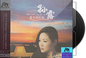 孙露《谁为我停留》紫银合金AQCD第1张