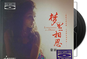 童丽《梦里相思》BSCD第1张