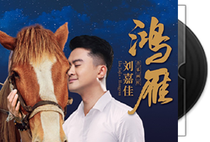 刘嘉佳《鸿雁HQII》头版限量签名版第1张