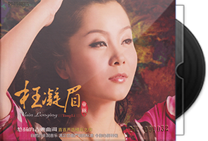 童丽《枉凝眉》限量版24K金碟第1张