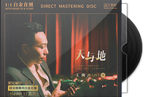 王闻《男人四十Ⅵ·天与地》头版限量1：1母盘直刻第1张