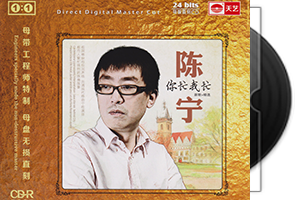 陈宁《你忙我忙》限量1：1母盘直刻第1张