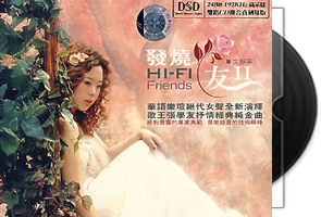 文静宁_发烧友2_专辑第1张