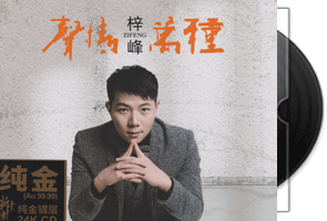 梓峰《声情万种》专辑/天翼云盘第1张