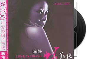陈静《情难枕》专辑/天翼云网盘第1张