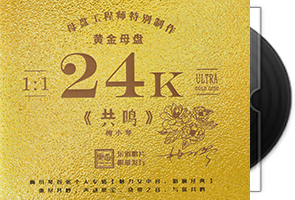 梅小琴《共鸣》头版限量编号24K黄金母盘第1张