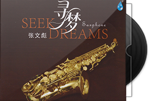 张文彪《寻梦》头版限量编号HQCD