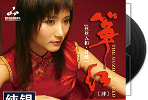 付娜《筝红4_丝丝入扣》古筝-纯银第1张