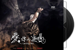 娄译心《爱你的感觉DSD》专辑第1张