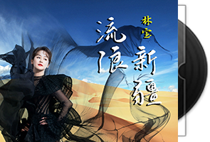 林宝《流浪新疆》专辑/天翼云盘第1张