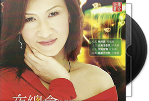 张蓉蓉《夜总会·发烧那卡西》专辑第1张
