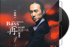 赵鹏音乐专辑32张37CD合集第1张