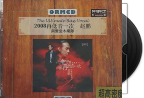 赵鹏-2008再低音一次（1：1母盘直刻版）第1张