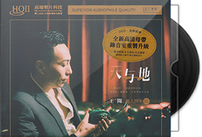 王闻《男人四十陆·天与地HQⅡ》头版限量编号