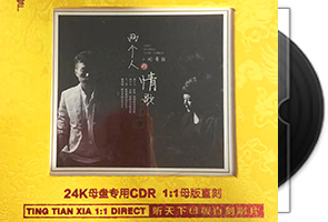 王闻&曼丽-两个人的情歌 1：1母版直刻