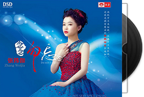 张玮伽音乐专辑48张53CD合集第1张