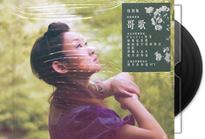 王菀之音乐专辑25张37CD合集第1张