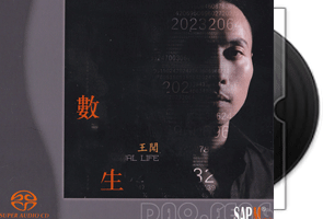 王闻-数字人生-SACD限量版第1张
